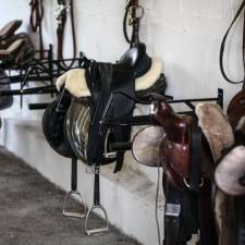 17 Different Types of Saddles (When to Use Which One)