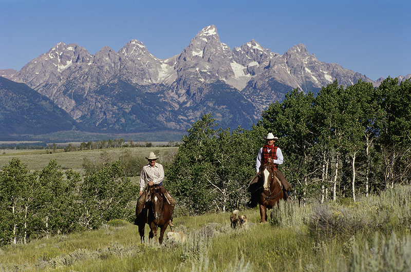 Equine Info Exchange - Trail Riding