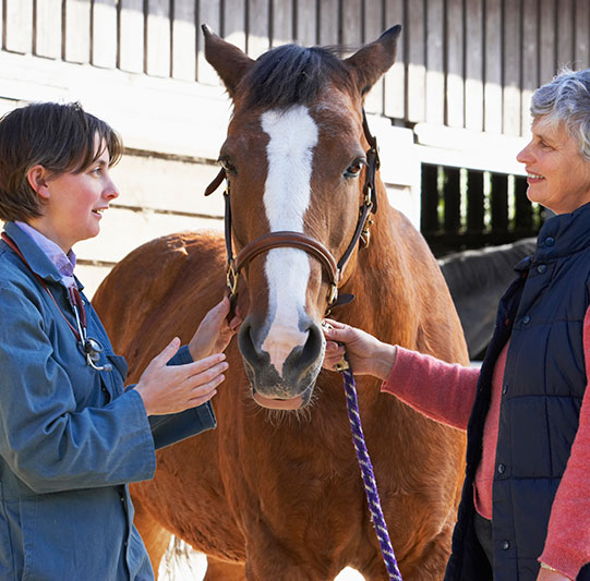 Equine Info Exchange