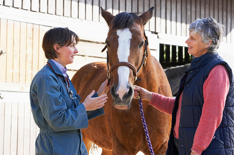 Equine Info Exchange